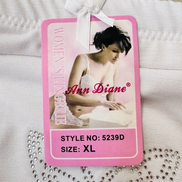 Lot of Ann Diane Women’s High Waist Cotton Briefs XL w/Hidden Pocket 4 Colors - Picture 2 of 16